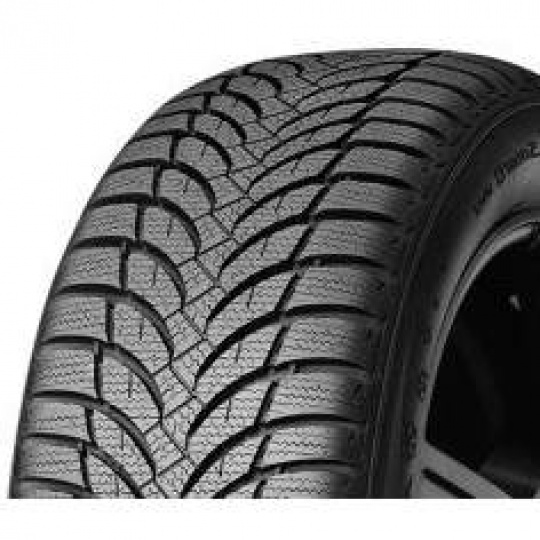 Nexen WinGuard Snow'G WH2 205/60 R 15 91H